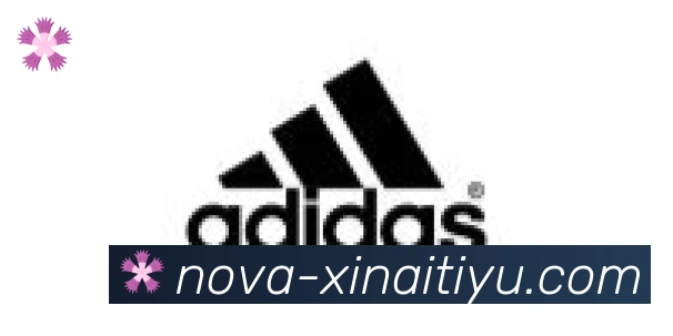 新爱体育直播合作伙伴